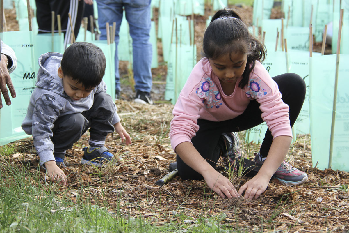 Tree Plantation Drive 2019, Melbourne