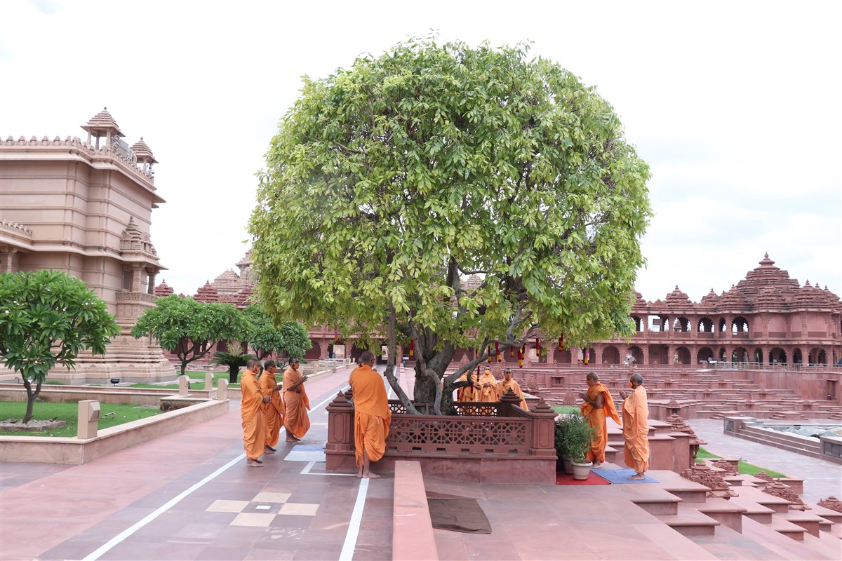 Delhi
