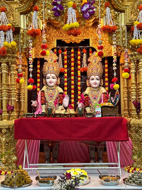 Mahant Swami Maharaj's 91st Janma Jayanti Mahotsav, Nakuru