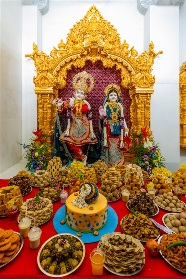 Bhagwan Shri Krishna and Shri Radhaji